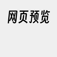 网页预览