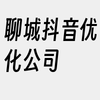 聊城抖音优化公司