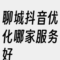 聊城抖音优化哪家服务好