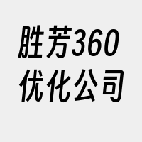 胜芳360优化公司