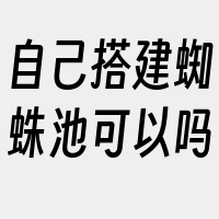 自己搭建蜘蛛池可以吗