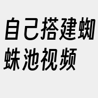 自己搭建蜘蛛池视频