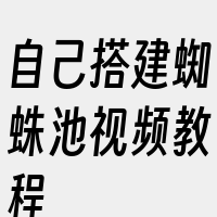 自己搭建蜘蛛池视频教程