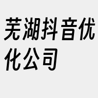 芜湖抖音优化公司