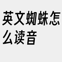 英文蜘蛛怎么读音