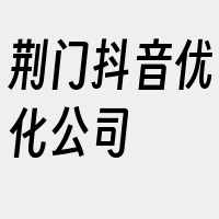 荆门抖音优化公司