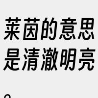 莱茵的意思是清澈明亮。