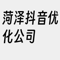 菏泽抖音优化公司