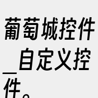 葡萄城控件_自定义控件。