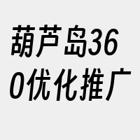 葫芦岛360优化推广