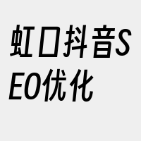 虹口抖音SEO优化