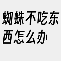 蜘蛛不吃东西怎么办