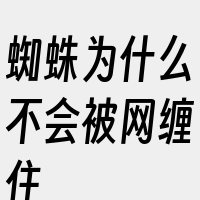 蜘蛛为什么不会被网缠住