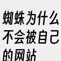 蜘蛛为什么不会被自己的网站