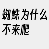 蜘蛛为什么不来爬