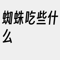 蜘蛛吃些什么