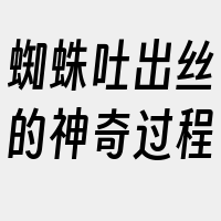 蜘蛛吐出丝的神奇过程