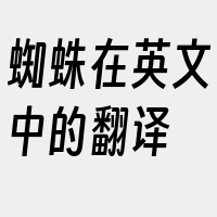 蜘蛛在英文中的翻译