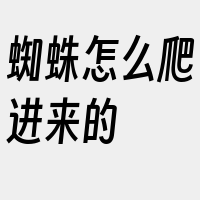 蜘蛛怎么爬进来的