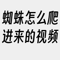 蜘蛛怎么爬进来的视频