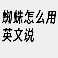 蜘蛛怎么用英文说