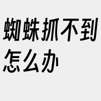 蜘蛛抓不到怎么办