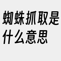 蜘蛛抓取是什么意思