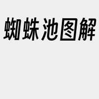 蜘蛛池图解