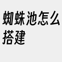 蜘蛛池怎么搭建