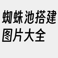 蜘蛛池搭建图片大全