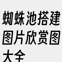 蜘蛛池搭建图片欣赏图大全