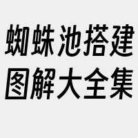 蜘蛛池搭建图解大全集