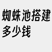 蜘蛛池搭建多少钱