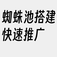 蜘蛛池搭建快速推广