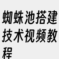 蜘蛛池搭建技术视频教程