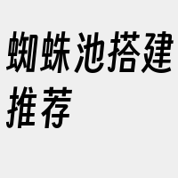 蜘蛛池搭建推荐