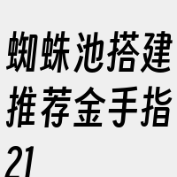 蜘蛛池搭建推荐金手指21