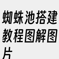 蜘蛛池搭建教程图解图片