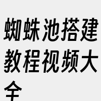 蜘蛛池搭建教程视频大全