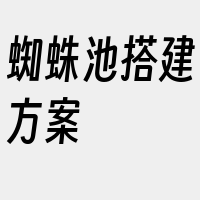 蜘蛛池搭建方案