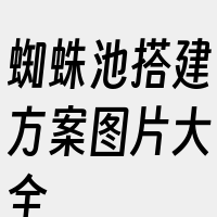 蜘蛛池搭建方案图片大全