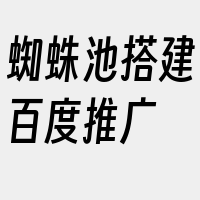 蜘蛛池搭建百度推广