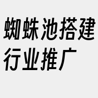 蜘蛛池搭建行业推广