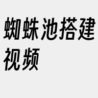 蜘蛛池搭建视频