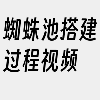 蜘蛛池搭建过程视频