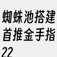 蜘蛛池搭建首推金手指22