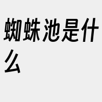 蜘蛛池是什么