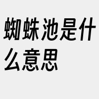 蜘蛛池是什么意思