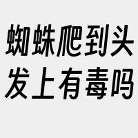 蜘蛛爬到头发上有毒吗