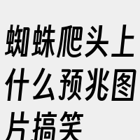 蜘蛛爬头上什么预兆图片搞笑